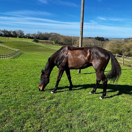 Byre - Farm Cottage On 9 Acre Equestrian Small Holding Солсбери Экстерьер фото